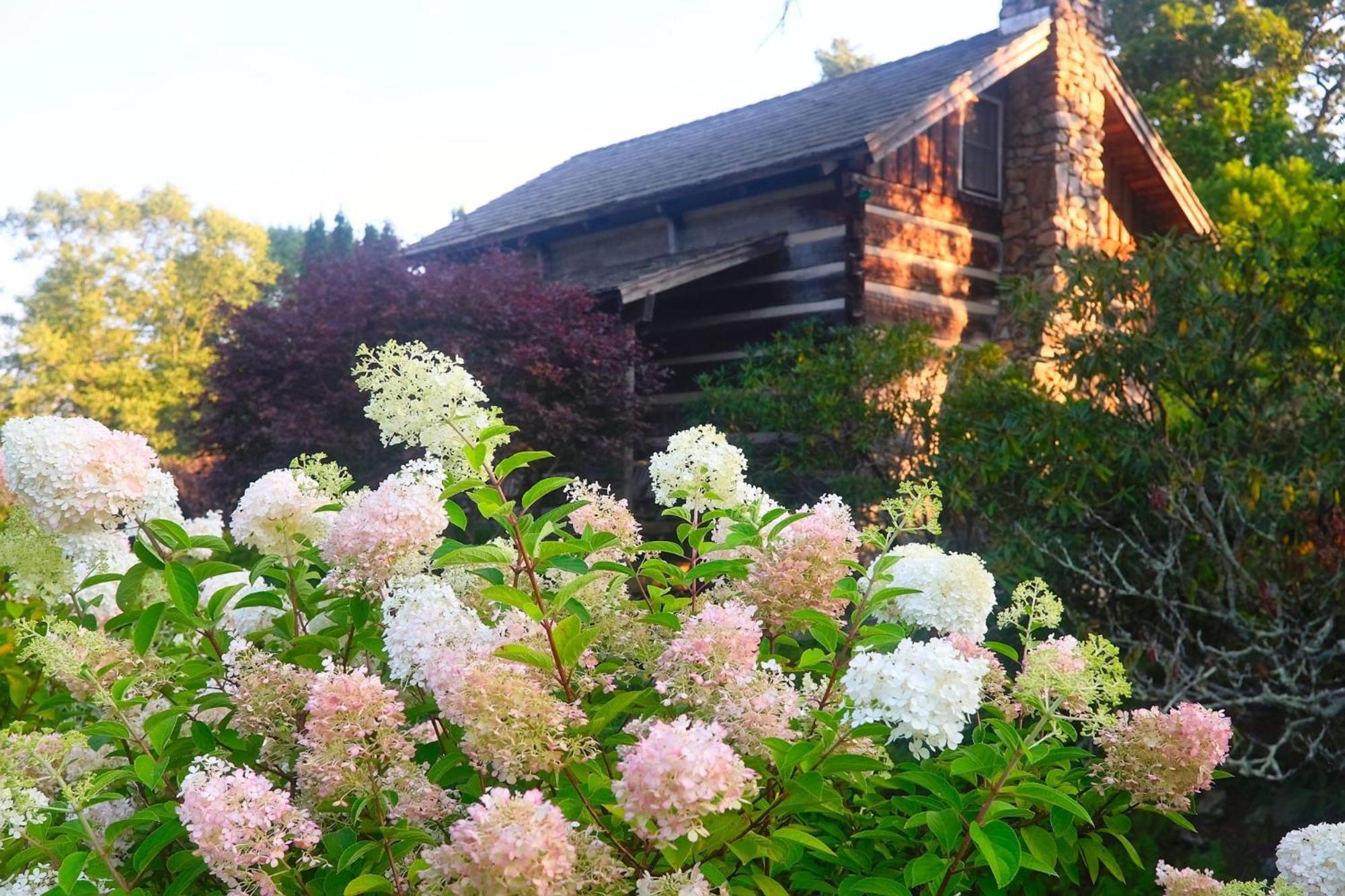 Azalea Garden Inn *